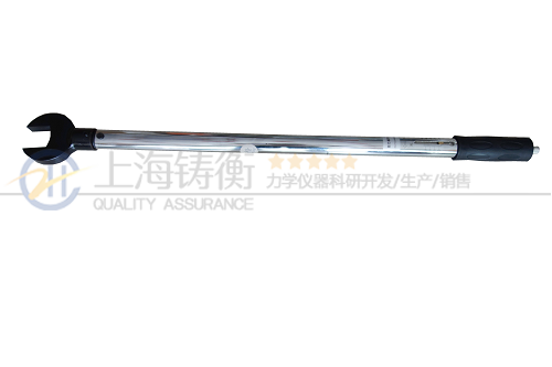 ��ݸԤ��ʽŤ������