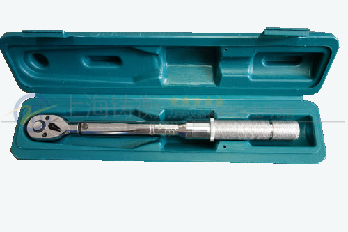 ��ݸԤ��ʽŤ������