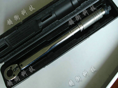 Ԥ��ʽŤ������