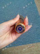 Ԥ��ʽŤ������������